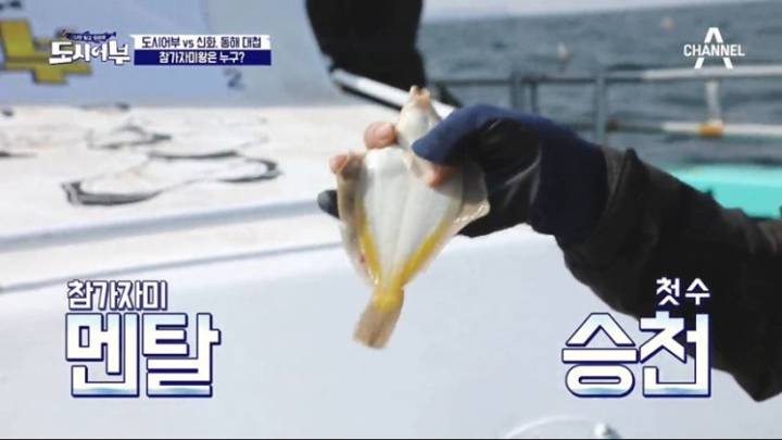 용가자미